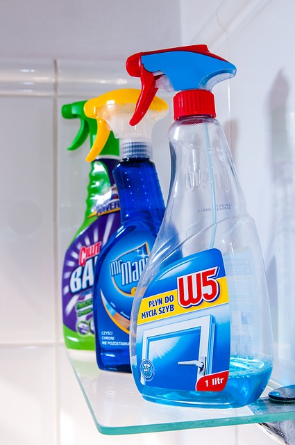 Poradnik utrzymania czystości i higieny w całym domu: Praktyczne wskazówki dotyczące utrzymania ogólnego porządku i higieny we wszystkich pomieszczeniach domu.